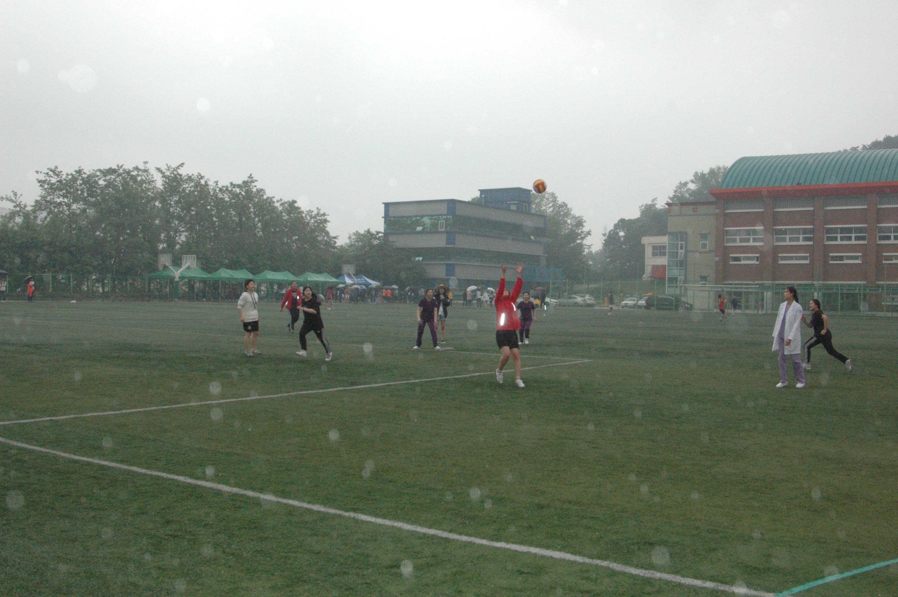 DSC_1019.JPG